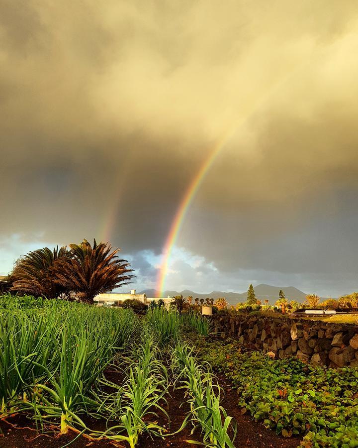 B&B La Mimosa Teguise  Luaran gambar